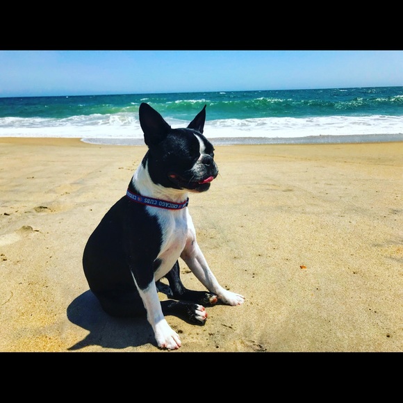 Meet your Posher, Angela - Picture 1 of 1